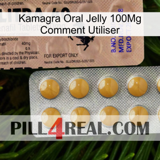 Kamagra Oral Jelly 100Mg How To Use 41